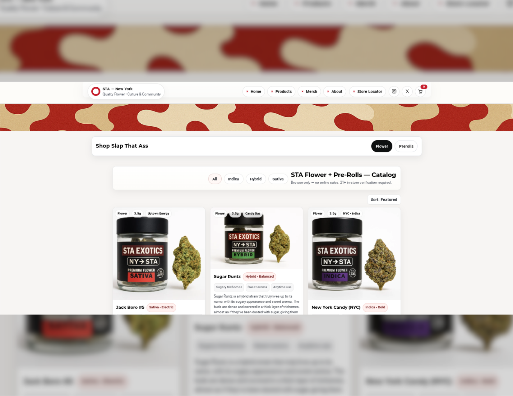 STA — New York catalog